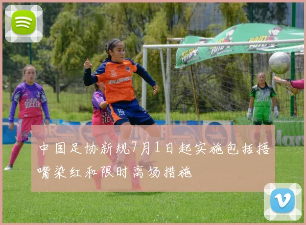 中国足协新规7月1日起实施包括捂嘴染红和限时离场措施