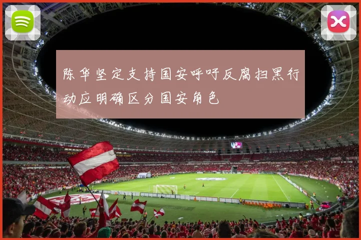 陈华坚定支持国安呼吁反腐扫黑行动应明确区分国安角色
