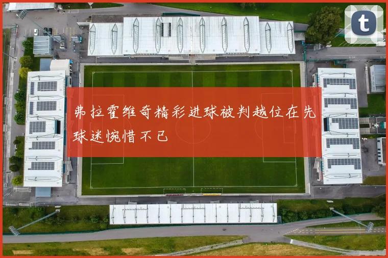 弗拉霍维奇精彩进球被判越位在先球迷惋惜不已